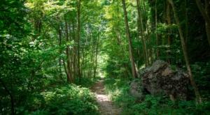 reviews uitvaartverzorging